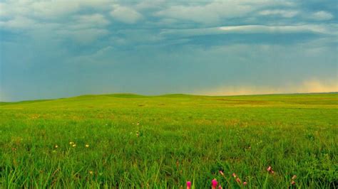 Tallgrass Prairie National Preserve Ks National Park Trust