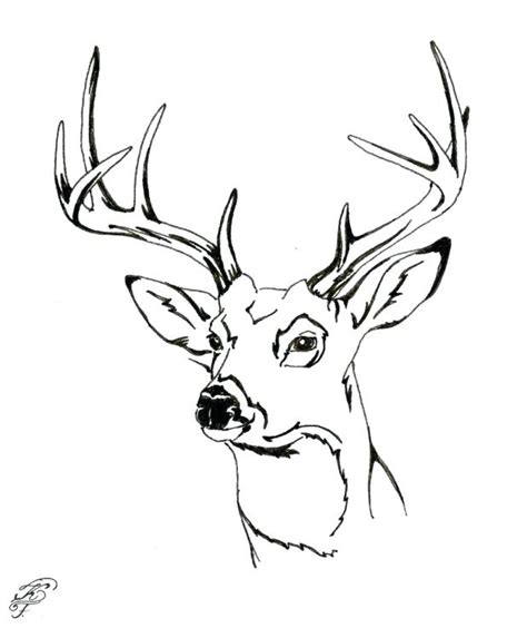 In case you don\'t find what you are looking for, use the top search bar to search. Elk Antlers Drawing at GetDrawings | Free download