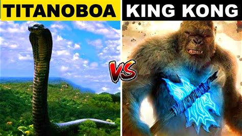 King Kong vs Titanoboa कन अधक शकतशल ह Giant Snake vs Giant