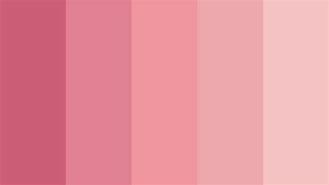 Pastel Pink Color By Number Logo Michael Arntz