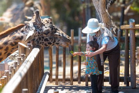 9 Things to Do With Kids in Santa Barbara