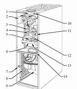 Bryant Furnace Wiring Diagram Pictures