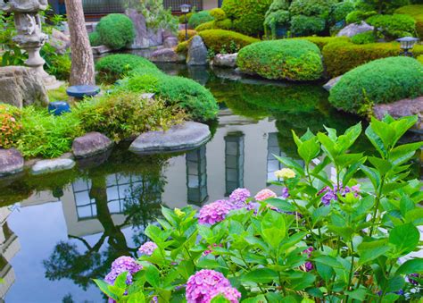 Garden ponds can be excellent wildlife habitats, and can make a contribution to the protection of freshwater wildlife. Water Gardens - Nualgi Ponds