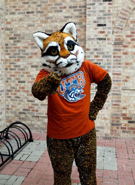 University Of Texas Mascots Ranked By Marc — Is This A Thing