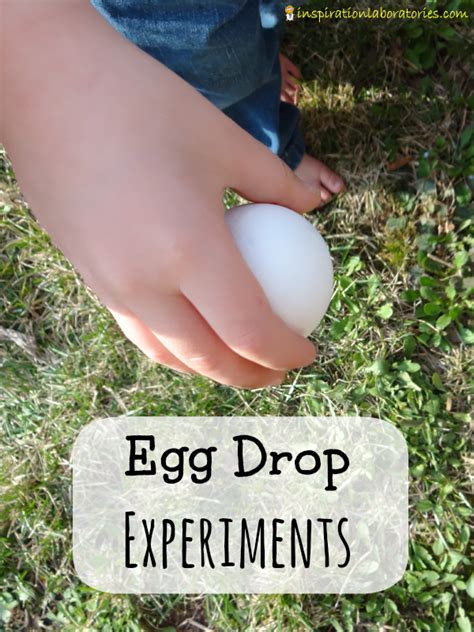 Egg Drop Experiments Inspiration Laboratories