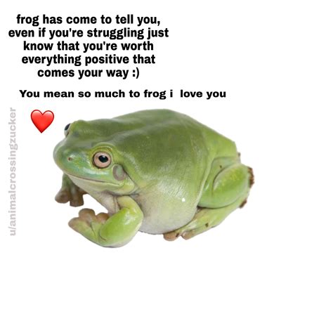 Frog Wishes You A Good Nightmorning Rmemes