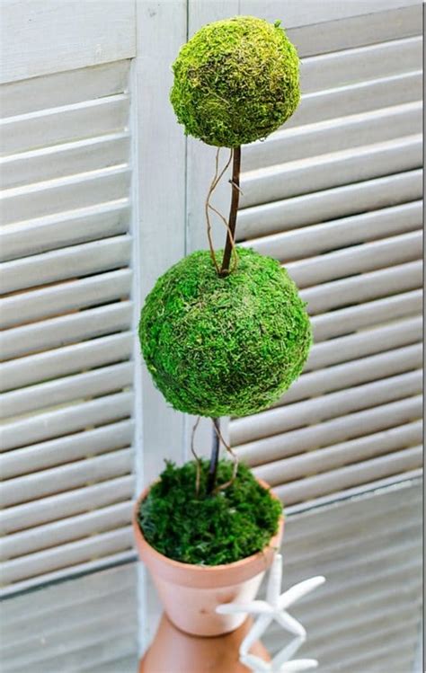 12 Diy Container Topiary Ideas To Beautify Your Home Balcony Garden Web