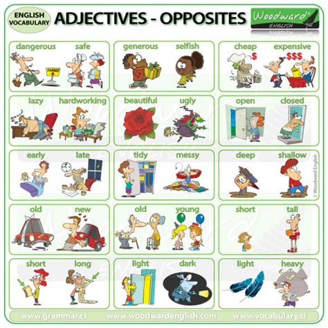 Adjectives Opposites Woodward English