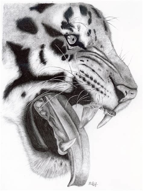 Get paid for your art. Wildlife pencil sketches on Behance