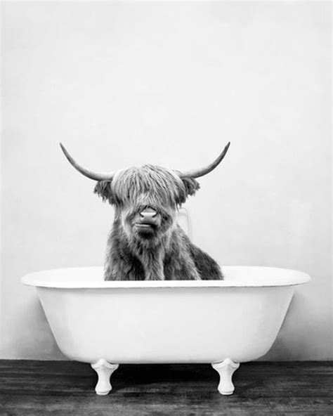 The black and white showing the hint of a shadowy outline, a darkened face behind a tattered wig, the raising of that damned knife. Paint by Numbers Kit-Highland Cow in a Vintage Bathtub ...