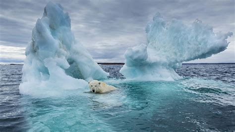 Arctic Sea Ice Melting Faster Than Forecast Cgtn