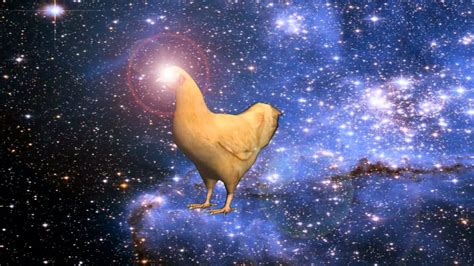 All Hail The Cosmic Chicken Youtube