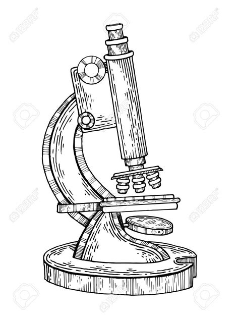 Microscope Line Drawing At Getdrawings Free Download