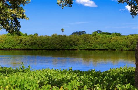 Free Images Landscape Tree Water Nature Grass Leaf Flower Pond