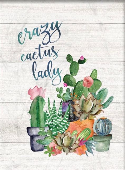 crazy cactus lady