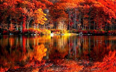 Fall Scenery Wallpapers ·① Wallpapertag