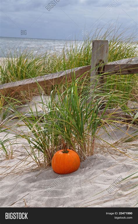 Beach Autumn Image And Photo Free Trial Bigstock