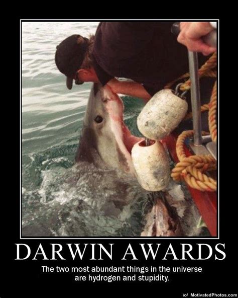 israel matzav palestinian wins first darwin award of 2013