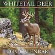 Shopdeerhunting.com 2020 Calendar Rut Forecast - Template Calendar Design