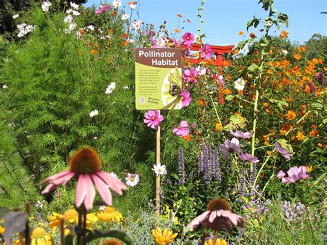 When to plant my garden in ohio. Native Plant & Pollinator Garden Tour - Hopewell Culture ...