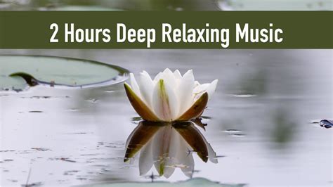 Deep Relaxation Music Calming Music Relaxing Music Meditation