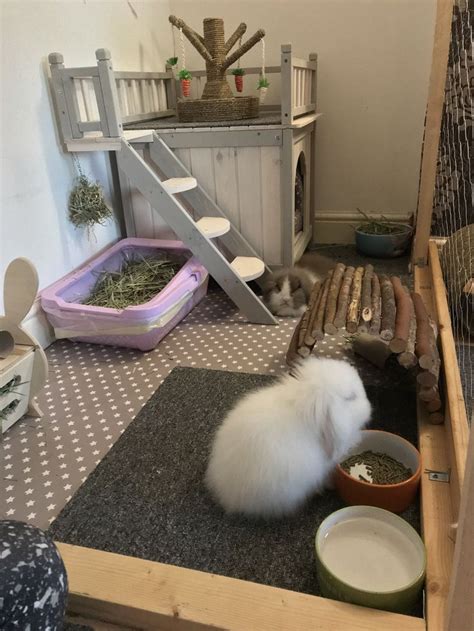 Bunny Room In 2020 Pet Bunny Rabbits Indoor Rabbit Cage Indoor Rabbit