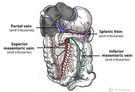 Haematemesis Causes Management Teachmesurgery