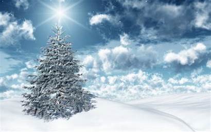 Holiday Christmas Wallpapers Tree Holidays Snow Desktop