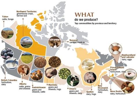 A Cool Infographic Showing What Each Province In Canada Is Known For