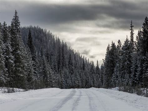 Neve Coberta Estrada Com árvores Canhão Johnson Parque Nacional
