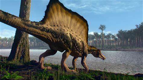 Spinosaurus Wallpaper 74 Pictures