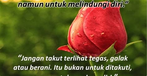 Paling Bagus 28+ Quotes Tentang Bunga Mawar Yang Layu - Koleksi Bunga HD