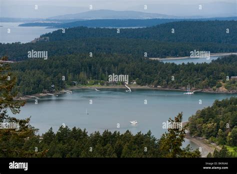 Young Hill San Juan Island Washington State Usa Young Hill Is The