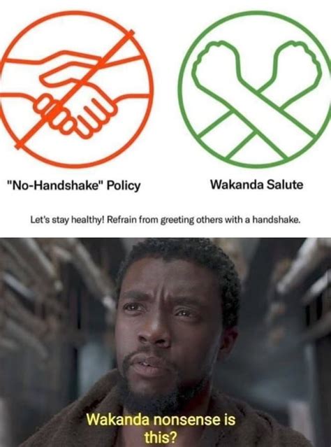Black Panther Memes Thatll Make You Shout Wakanda Forever Black