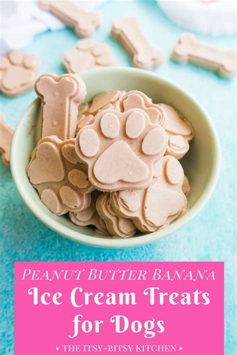 Peanut Butter Banana Ice Cream For Dogs Dog Ice Cream Homemade Dog