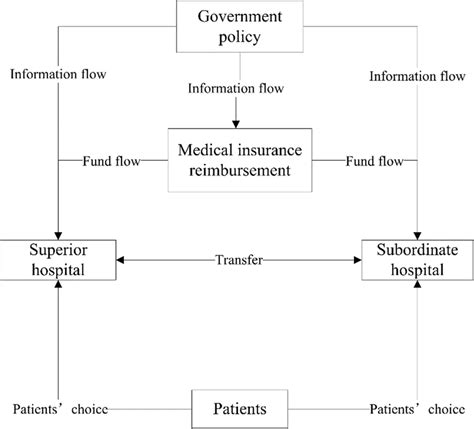 Healthcare Supply Chain Network Download Scientific Diagram