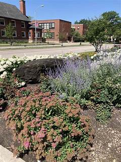 Parkside Fresno Bulldogs Gang