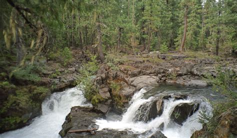 Rogue River Rogue River Siskiyou National Forest National Park Photos