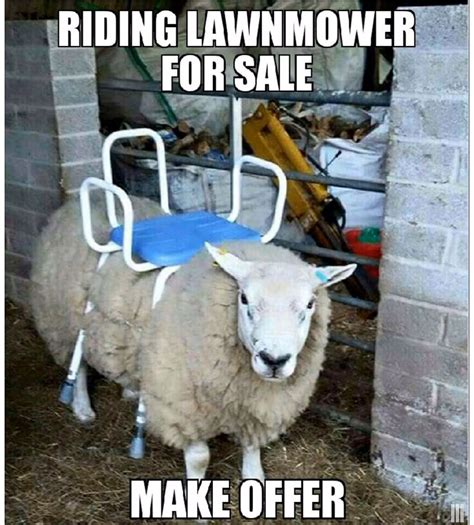 Funny Lawn Mowing Memes 25 Best Memes About Mowing Mowing Memes