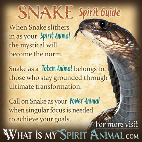 Snake Symbolism And Meaning Spirit Totem And Power Animal