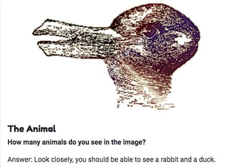 Mind Bogging Optical Illusion Baffles The Internet With Image Of Animal