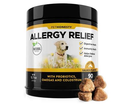 Best Allergy Relief Immunity Supplements For Dogs 2022 The Pet Well