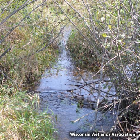 What Is The Little Plover River Watershed Enhancement Project