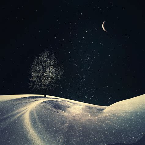 Lone Tree Wallpaper 4k Crescent Moon Night Starry Sky