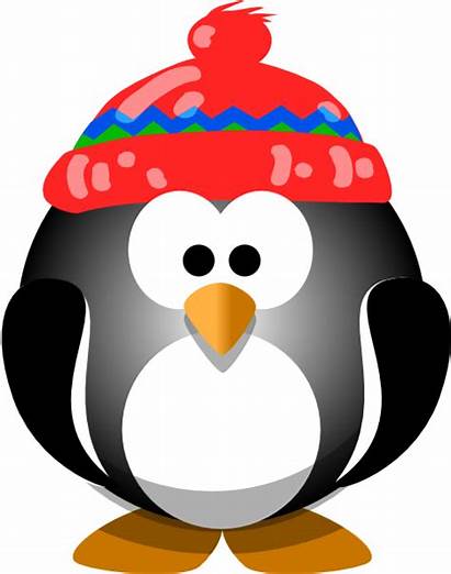 Penguin Hat Clip Clker Clipart Vector Royalty