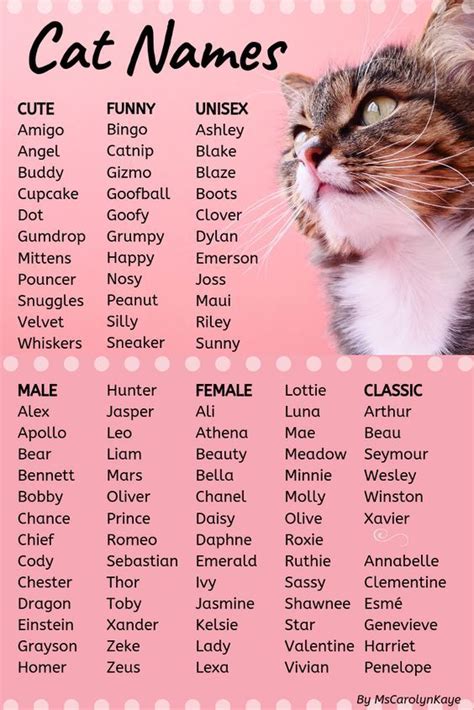 This List Of Cat Names Offers Ideas For Male And Female Cats Whether Youre Looking For Classic