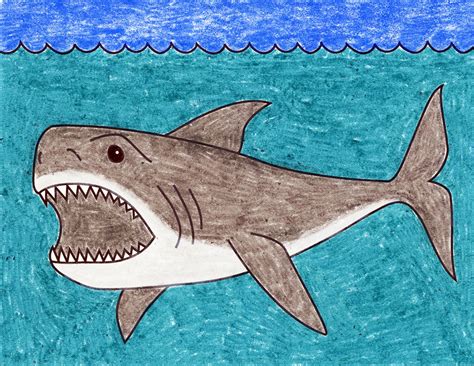 Easy How To Draw A Megalodon Shark Tutorial And Megalodon Shark