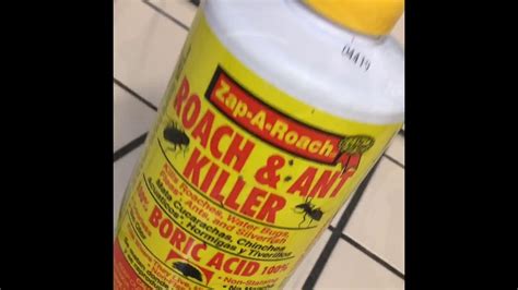 Best Homemade Roach Killer Youtube