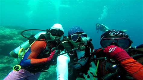 Diving In Cebu Youtube