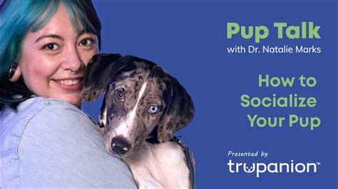 Socialization Tips For Your Puppy Trupanion Pup Talk Youtube